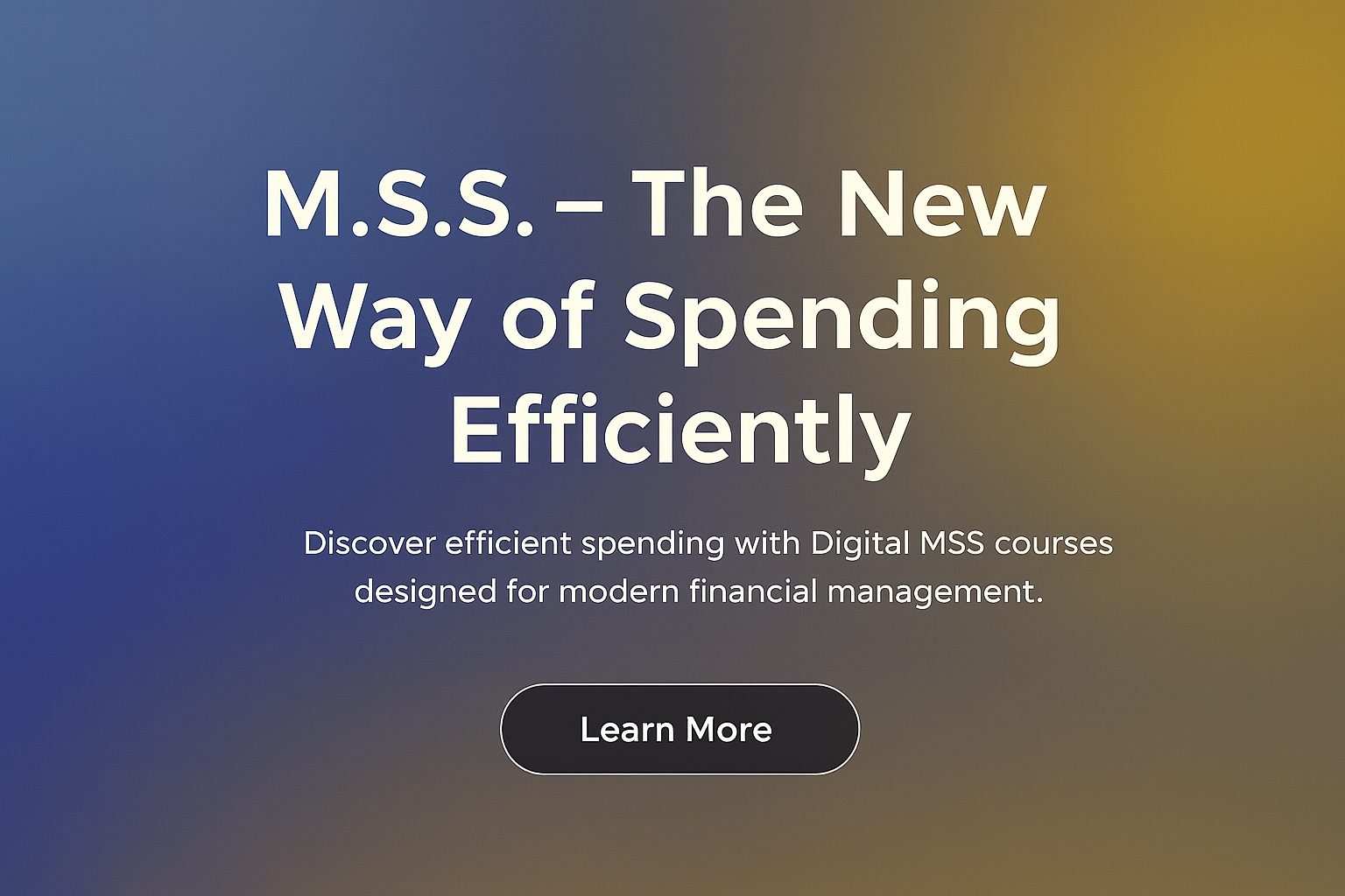 M.S.S. – The New Way of Spending Efficiently